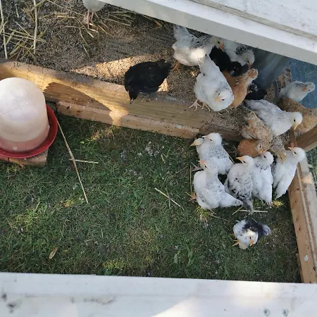 Bienvenue Chez Moi A Bed & Breakfast *