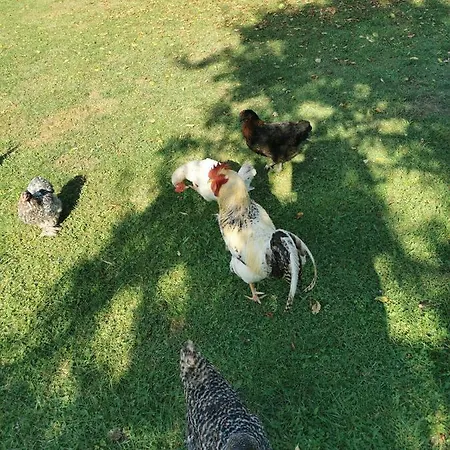 فندق مبيت وإفطار Bienvenue Chez Moi A 3*